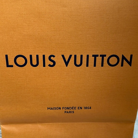 Louis Vuitton Gift Bag with ribbon - Picture 2 of 8
